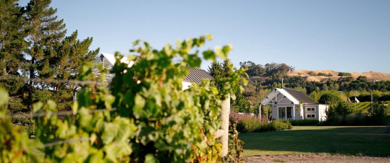 305 In The Vines Vila Havelock North Exterior foto