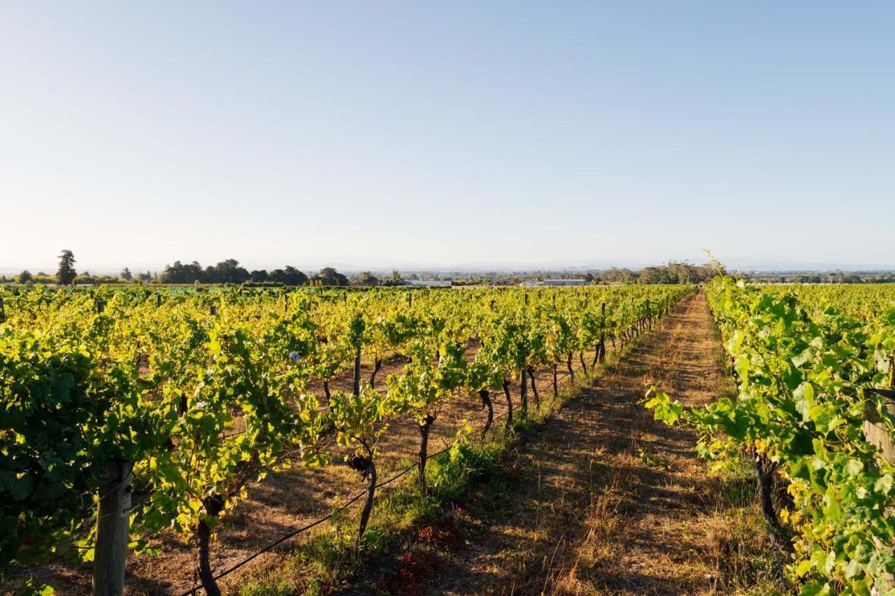305 In The Vines Vila Havelock North Exterior foto