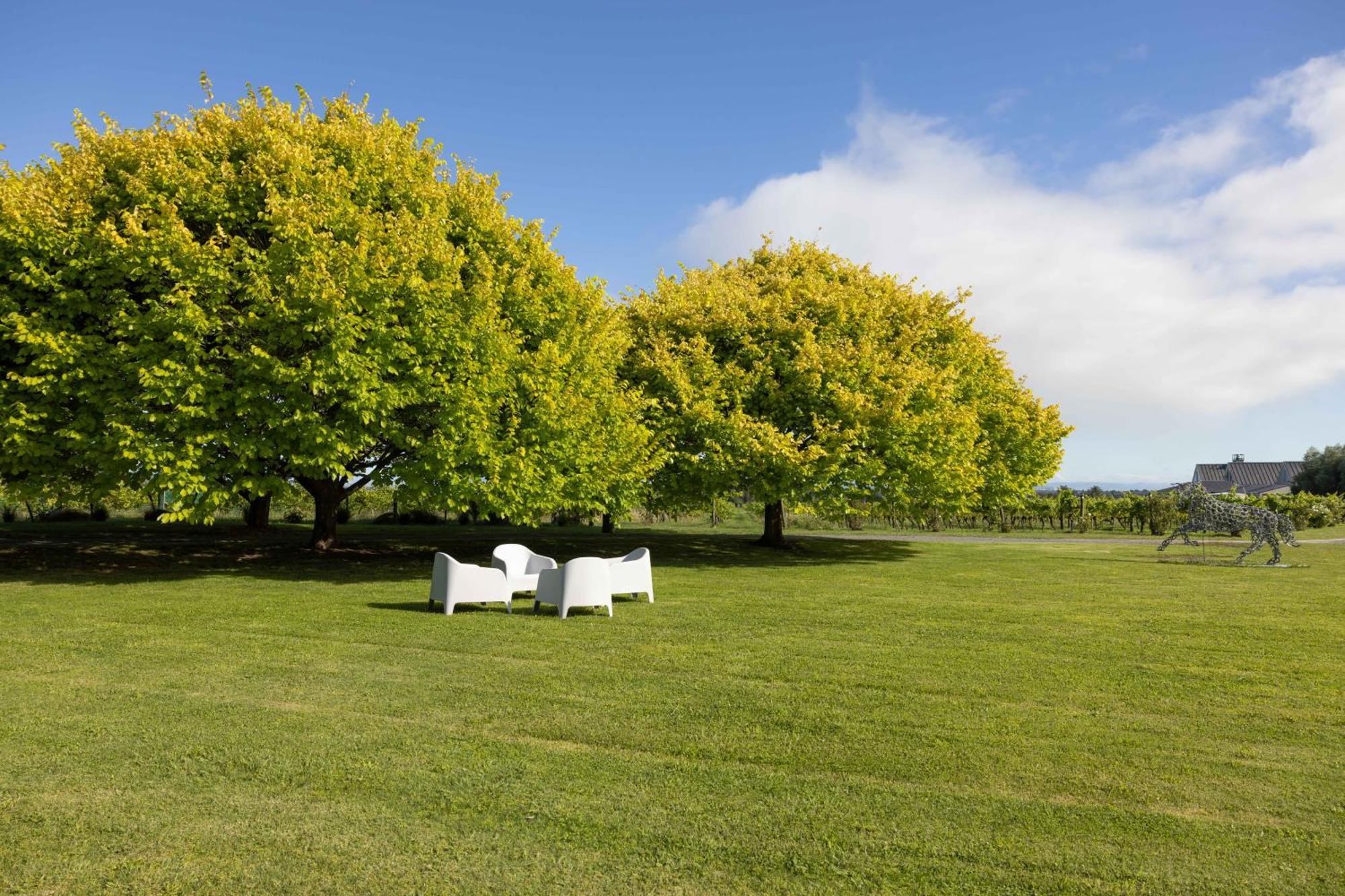 305 In The Vines Vila Havelock North Exterior foto